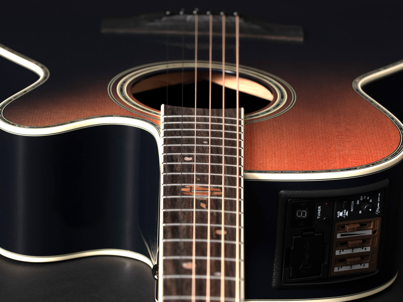 Takamine Limited 2024